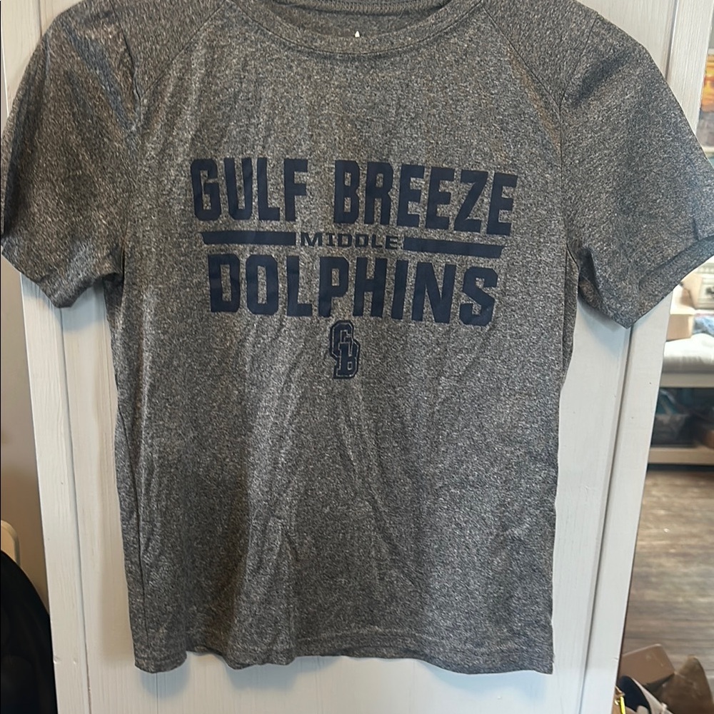Heather Gray Short Sleeve Tee with Bold Dolphins Print